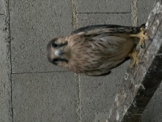 IMG_6797.jpg