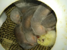 IMG_20200813_175513.jpg