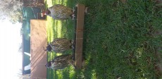 20200816_103722.jpg