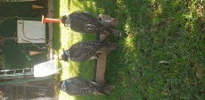 20200816_103704.jpg