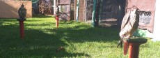 20200817_123444.jpg
