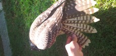 20200817_102043.jpg