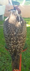 20200817_123743.jpg