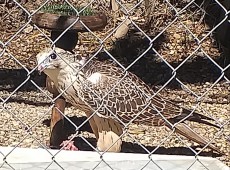 20200823_115609.jpg