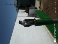 IMG_20200907_121555.jpg