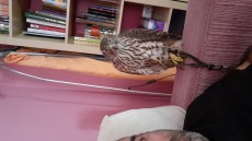 IMG-20200905-WA0002.jpeg