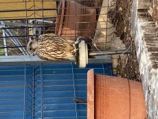 IMG_3044.jpg