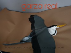 garza real