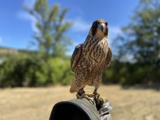 IMG_7464.jpeg