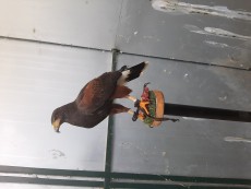 20201004_134825.jpg