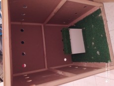 IMG_20200805_064345.jpg