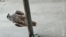 IMG_20201018_175643.jpg