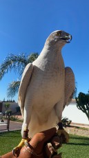 IMG-20201102-WA0086.jpg