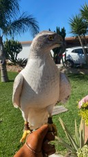 IMG-20201102-WA0075.jpg