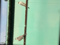 721B1172-153E-4069-BECF-3E284D4E0D0B.jpeg