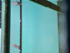 597A2AFC-F884-4F25-95FD-D810FCE9C0B5.jpeg