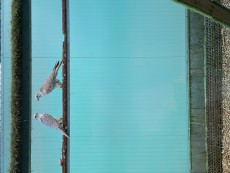 3B9E0352-A2A6-484A-9C63-0A30403C5BE2.jpeg