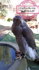 IMG_20201210_184219.jpg