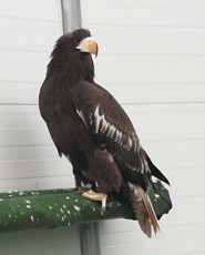 B55AB9A6-41F3-4EF0-B4F3-8F42DEFB7213.jpeg