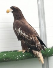 F72223F2-477D-4103-882D-60705E0D6418.jpeg