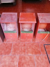 IMG_20201231_161514.jpg