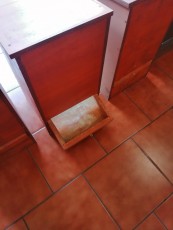 IMG_20201231_161501.jpg