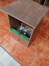 IMG_20201231_161414.jpg
