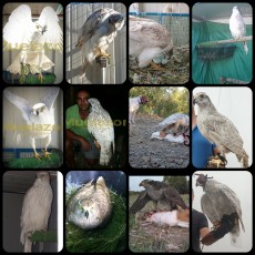 inCollage_20210102_120449501.jpg