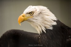 600211E9-EF6A-46F3-8B85-0F2E00DD7ADF.jpeg