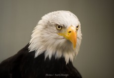 CDA34676-E5C1-4927-9B68-B3725B259DFB.jpeg