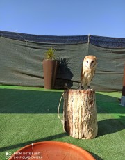 IMG_20210116_183950.jpg