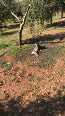 IMG_0214.JPG