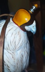 IMG_20210122_231656.jpg