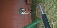 20210222_201243.jpg