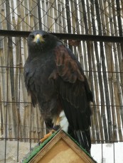 IMG_20201211_114314.jpg