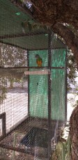 IMG-20200822-WA0006.jpg