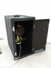 Falcónbox