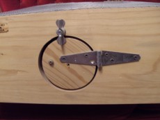 PICT0787.jpg