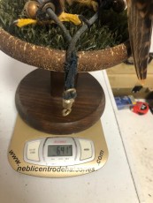 Macho con 27 dias