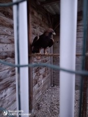 IMG_20201101_174342.jpg
