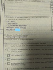 InkedIMG_20210518_192209_LI.jpg