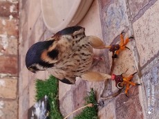 IMG_20201121_104259.jpg