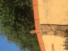 IMG_2554.JPG