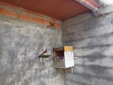 IMG20210622095220.jpg