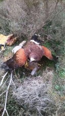 IMG_20210106_102852.jpg