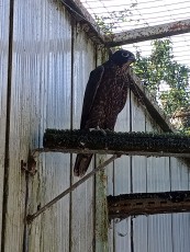IMG_20210710_190729.jpg