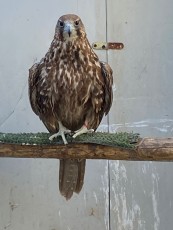 AAD04802-DA11-47D7-BA56-2E809DC00C44.jpeg