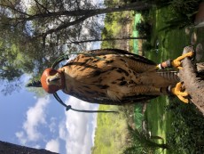 96878F0D-077F-470D-8695-1665355EFFD8.jpeg