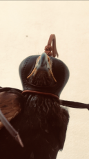 C5D441FC-D7B4-403E-AE03-2E0A3C020362.png