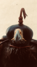 3913325D-C353-4E1C-AD53-0286146DD22C.png